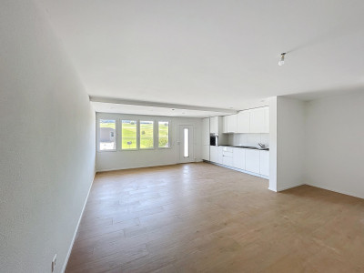 Villa neuve avec unité indépendante et vue dégagée sur les Préalpes — Senèdes image 10