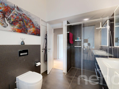 Exklusive 4.5-Zimmer-Dachwohnung mit traumhaftem Rheinblick image 8