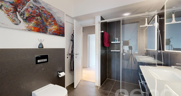 Exklusive 4.5-Zimmer-Dachwohnung mit traumhaftem Rheinblick image 8