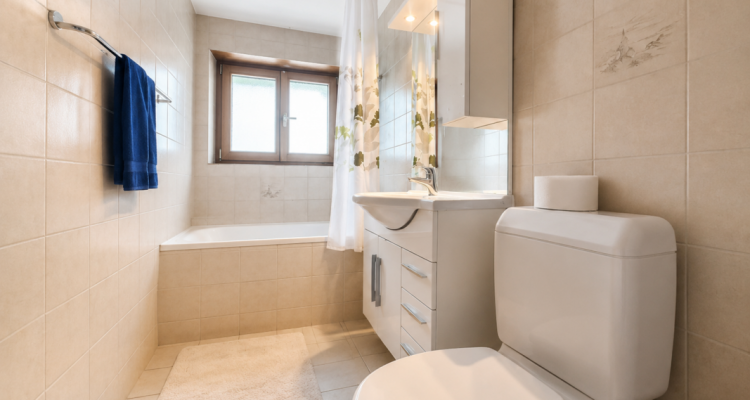 Idéal pour investisseur : maison de deux appartements à Riddes image 3