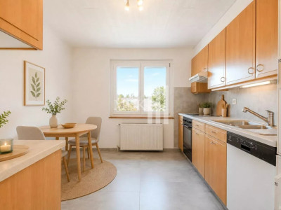 Opportunité dinvestissement 5.53% rendement brut à Evionnaz image 2