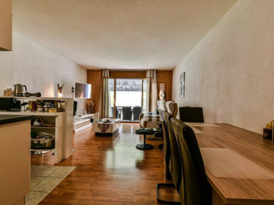 Charmant appartement avec jardin à Torgon image 3