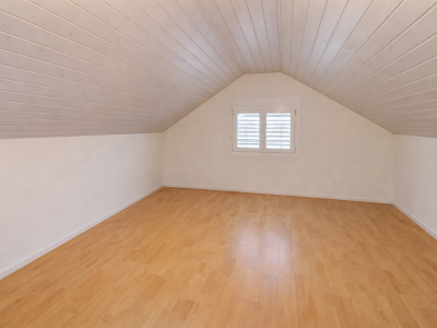 Belle et grande maison individuelle en viager occupé sans rente limité à 7 ans image 13