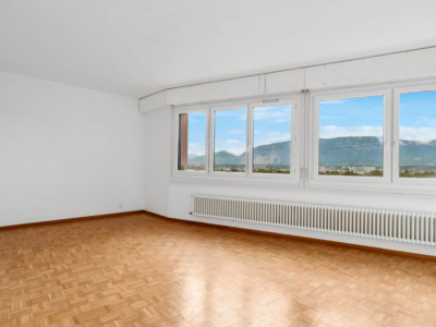 Superbe duplex de 6 pièces 140m2 au dernier étage à Onex  image 1