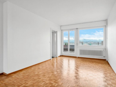 Superbe duplex de 6 pièces 140m2 au dernier étage à Onex  image 8