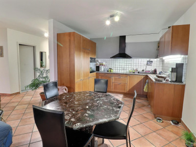 Superbe appartement en viager occupé sans rente avec piscine et vue Lac image 9