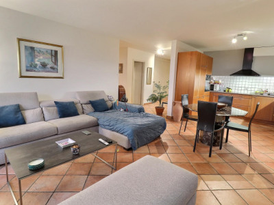 Superbe appartement en viager occupé sans rente avec piscine et vue Lac image 11