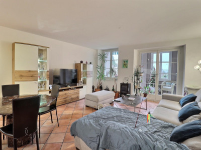 Superbe appartement en viager occupé sans rente avec piscine et vue Lac image 12