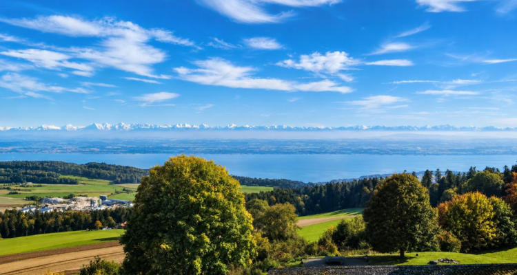 Havre de tranquillité verdoyant avec vue panoramique sur le lac de Neuchâtel image 2