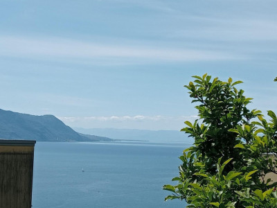 Appartement en rez avec vaste terrasse panoramique à Montreux image 5
