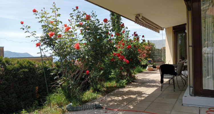 Appartement en rez avec vaste terrasse panoramique à Montreux image 3