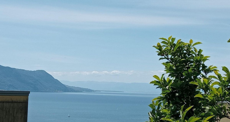Appartement en rez avec vaste terrasse panoramique à Montreux image 5