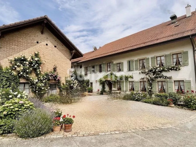 Opportunité Investisseur - Immeuble à haut potentiel image 1