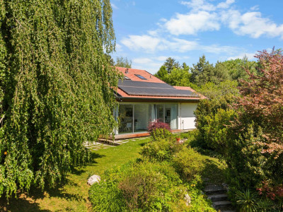 Maison entouré darbres majestueux image 1