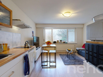 Deux logements en un : confort familial et rendement locatif image 9