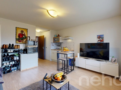 Deux logements en un : confort familial et rendement locatif image 10