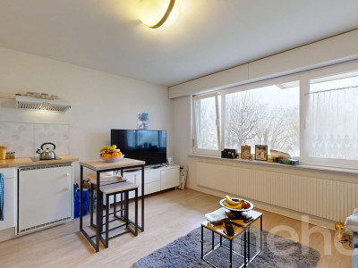 Deux logements en un : confort familial et rendement locatif image 11