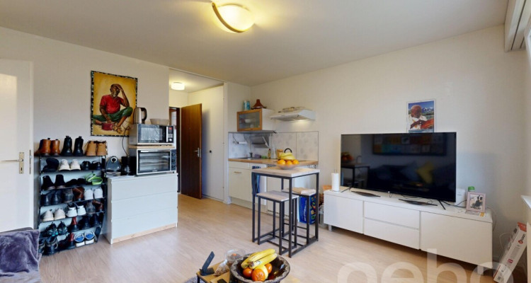Deux logements en un : confort familial et rendement locatif image 10