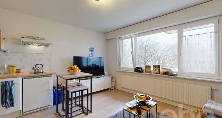 Deux logements en un : confort familial et rendement locatif image 11