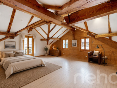 Superbe duplex traversant image 2
