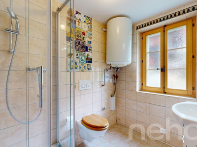 Superbe duplex traversant image 8