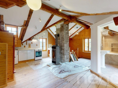 Superbe duplex traversant image 11