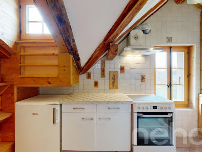 Superbe duplex traversant image 12