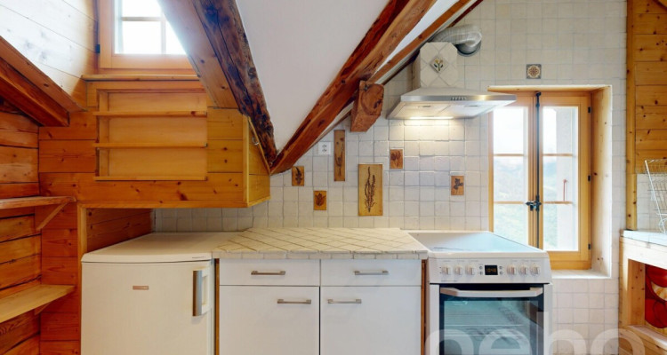 Superbe duplex traversant image 12
