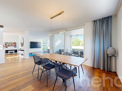 Modernes freistehendes Einfamilienhaus mit grossem Garten in Dietikon image 7