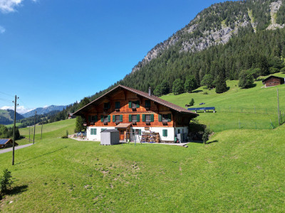 LETIVAZ - SUPERBE CHALET DE TROIS APPARTEMENTS image 2