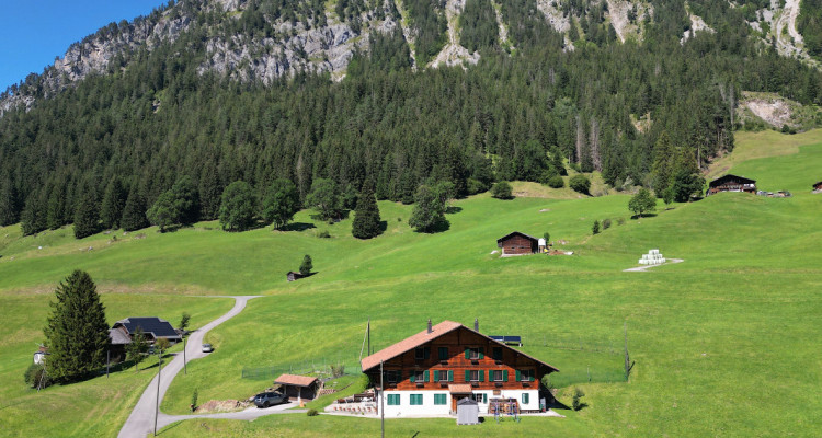 LETIVAZ - SUPERBE CHALET DE TROIS APPARTEMENTS image 1