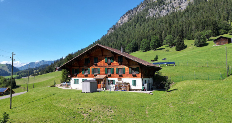 LETIVAZ - SUPERBE CHALET DE TROIS APPARTEMENTS image 2
