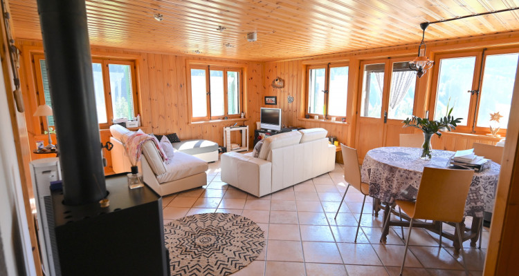 LETIVAZ - SUPERBE CHALET DE TROIS APPARTEMENTS image 9