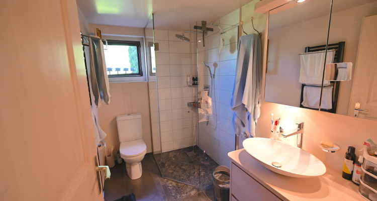 LETIVAZ - SUPERBE CHALET DE TROIS APPARTEMENTS image 6