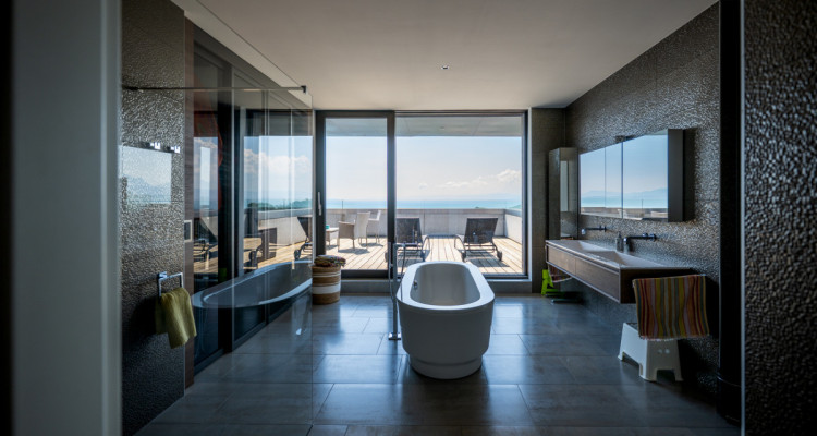 EXCLUSIVITE IMMO2Z : Duplex en attique avec vue imprenable image 11