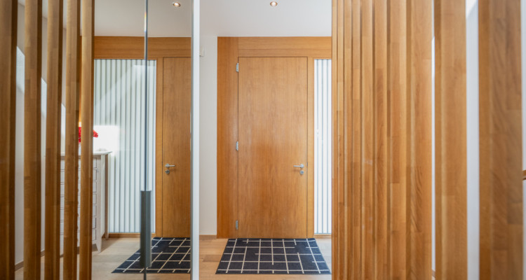 EXCLUSIVITE IMMO2Z : Duplex en attique avec vue imprenable image 5