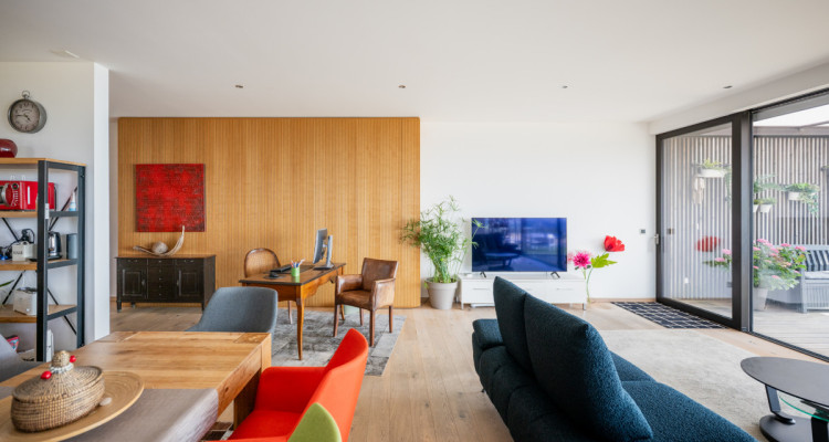 EXCLUSIVITE IMMO2Z : Duplex en attique avec vue imprenable image 8