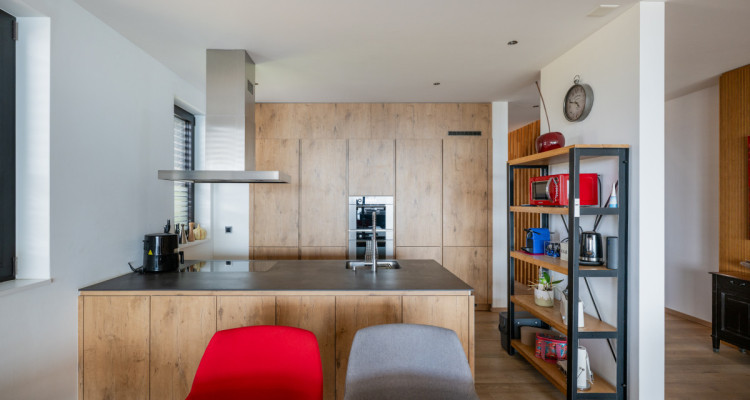 EXCLUSIVITE IMMO2Z : Duplex en attique avec vue imprenable image 7