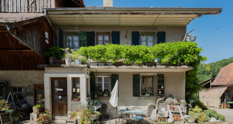 EXCLUSIVITE : Ancienne ferme avec potentiel de création de plusieurs logements image 4