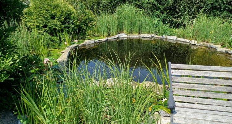 Entre parc naturel et vie urbaine : un havre dexception à Lausanne image 5