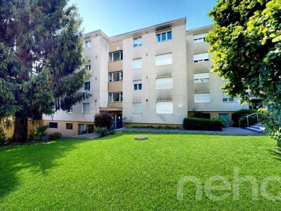 Top renovierte Wohnung in Familienquartier image 11