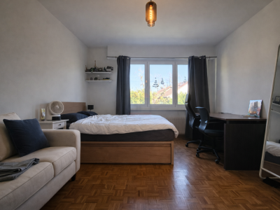 Élégante villa familiale avec grand jardin plat et fort potentiel à Founex image 12