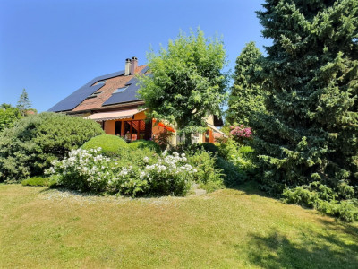 Magnifique maison en viager occupé sans rente image 1