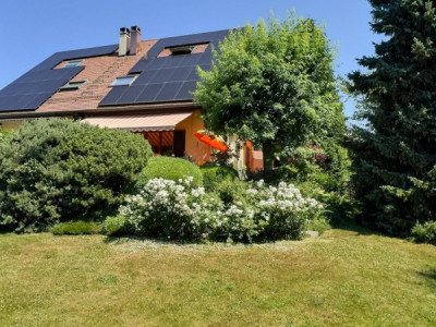 Magnifique maison en viager occupé sans rente image 4