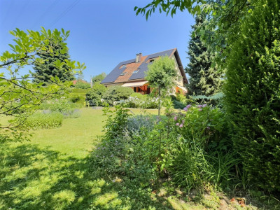 Magnifique maison en viager occupé sans rente image 6