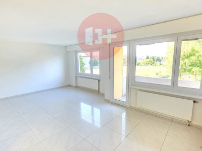 SONNIGE, RUHIGE 1.5 ZIMMER WOHNUNG MIT BALKON, ZU VERMIETEN! image 2