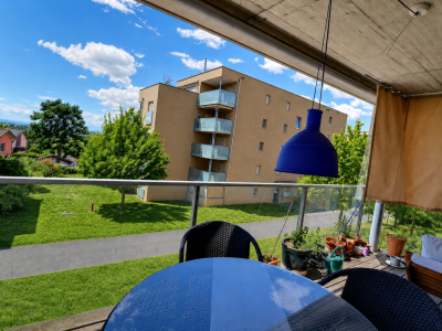 Très bel appartement en viager occupé sans rente avec piscine et vue lac image 12