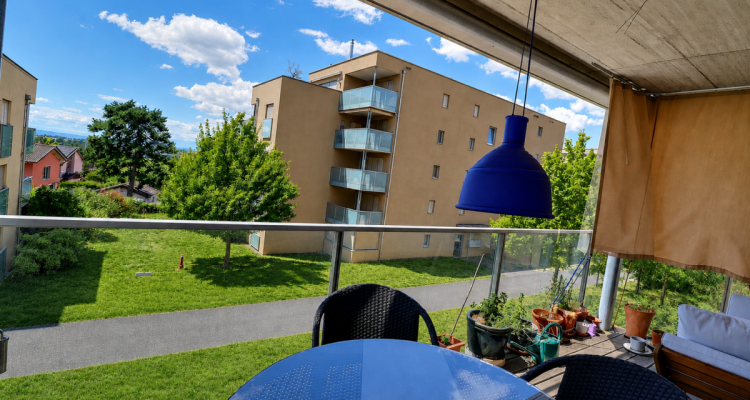 Très bel appartement en viager occupé sans rente avec piscine et vue lac image 12