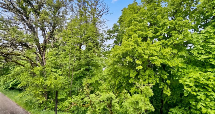 En exclusivité: Maison individuelle, à rénover aux Brenets image 4