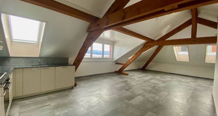 Magnifique appartement spacieux, adapté aux personnes à mobilité réduite, 3 pièces,  dans les  Combles, avec ascenceur image 3